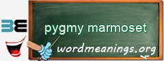 WordMeaning blackboard for pygmy marmoset
